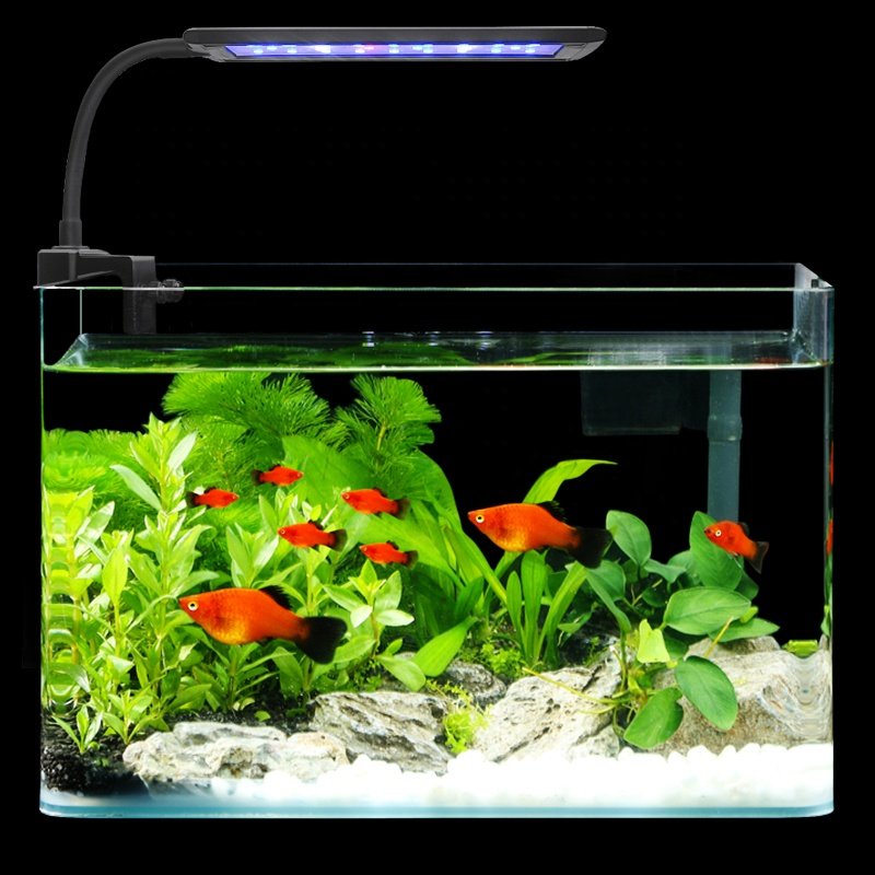 DL-F8 10W full spectrum fish tank lighting salt water lights marine reef sea coral plant grow clip on led aquarium light