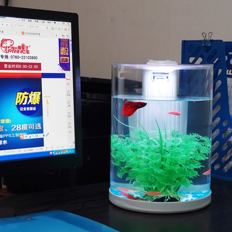 Bar Counter Aquarium Fish Tank Acrylic Tank Family Aquariums & Accessories Plastic Aquarium Sun Fish Soft Plastic Pmma,plastic