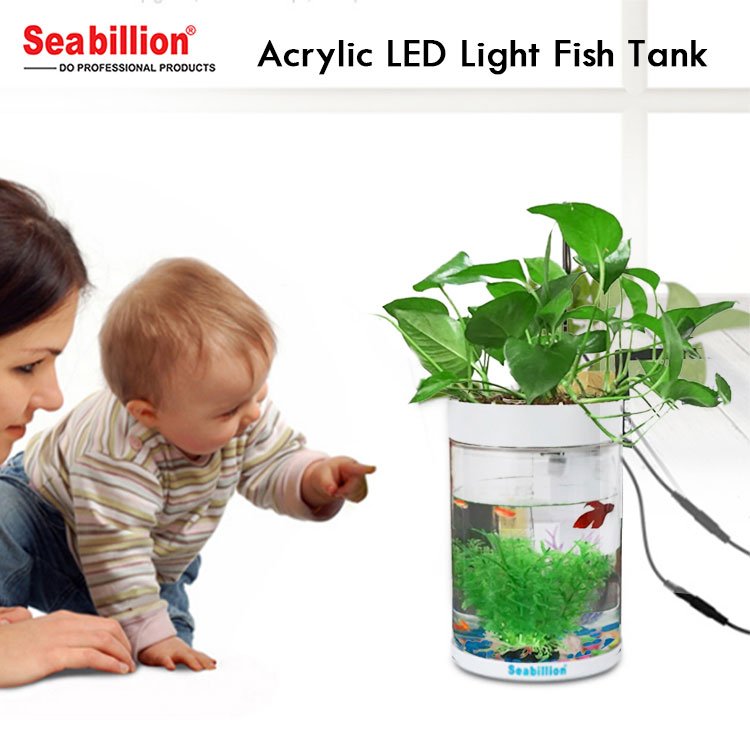 Bar Counter Aquarium Fish Tank Acrylic Tank Family Aquariums & Accessories Plastic Aquarium Sun Fish Soft Plastic Pmma,plastic