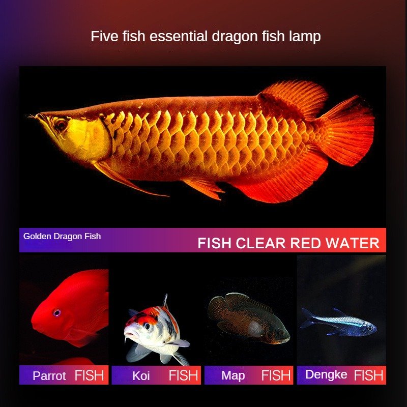 Wrgb Led Aquarium Light Submersible Fish Tank Light Led Aquarium T8-30 40 50 60 80 100 120 150