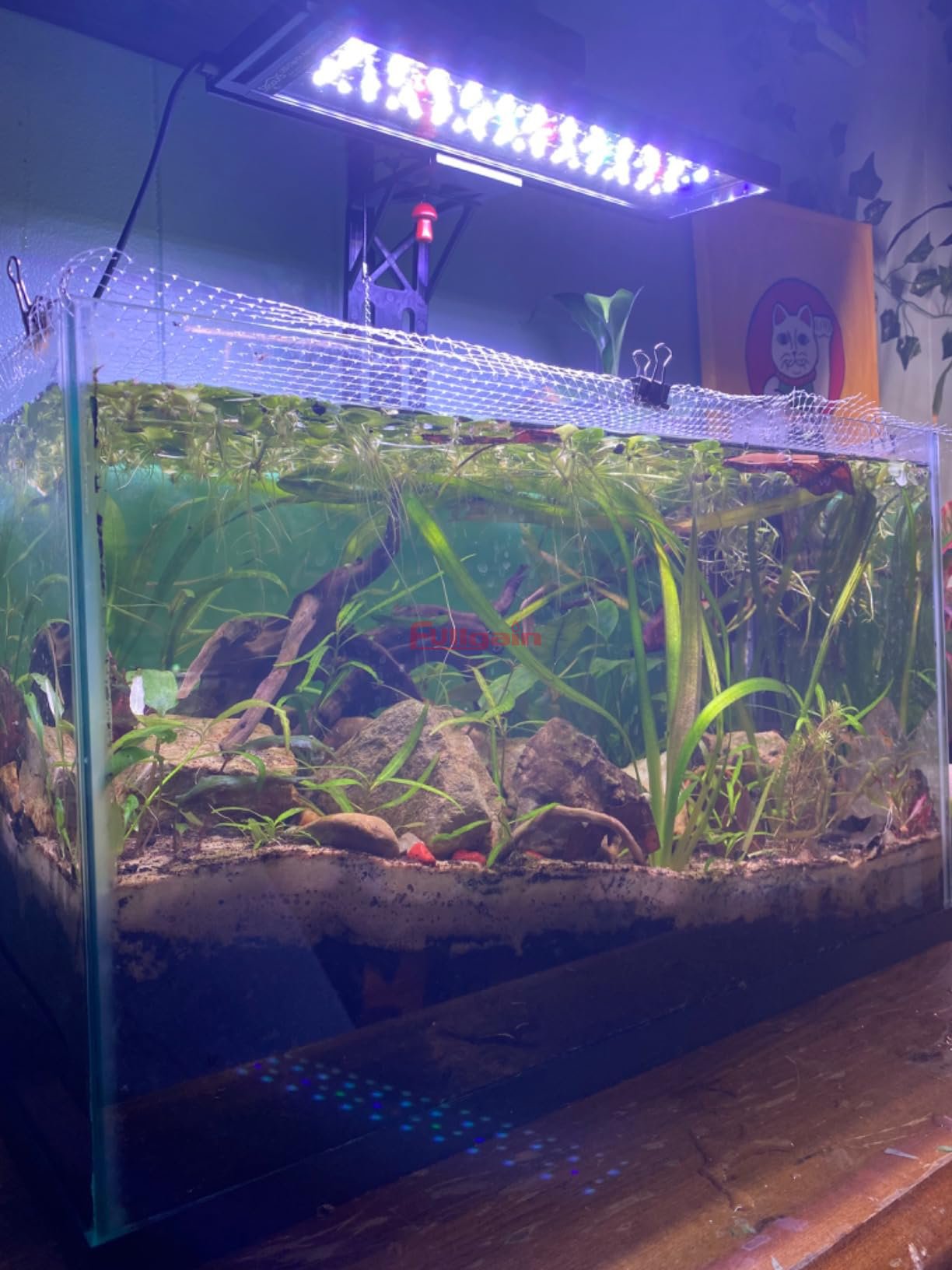 Fullgain FG188 24/7 Cycle Fish Tank Light Full Spectrum Auto On/Off Adjustable Brightness Height Clip On Aquarium Light