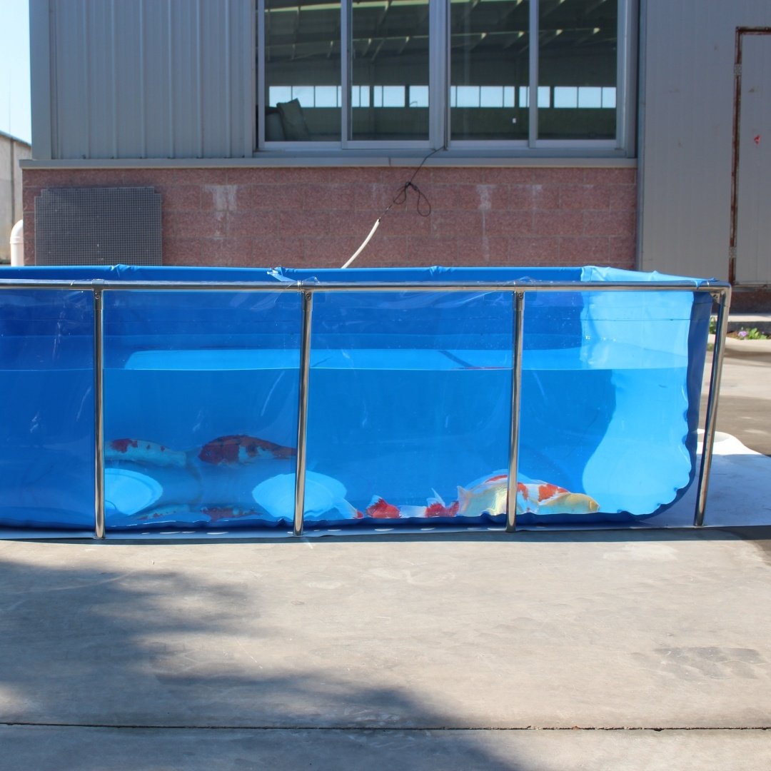 PVC Turtle Fish Incubator Hatchery Tank Betta Koi Fish Pond Large Aquariums Fish Tanks