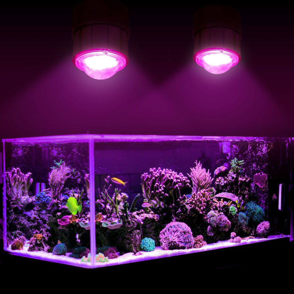 New Design Chinese Cheap 200W Led Aquarium Light Aquatic Coral Reef Led Lighting Reef Led Aquarium Light