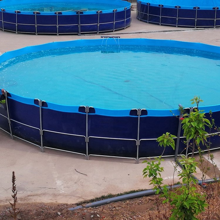 Large acrylic tank aquarium glass led lighting light 10000 liter salt water fiberglass aquaculture fish farming tank