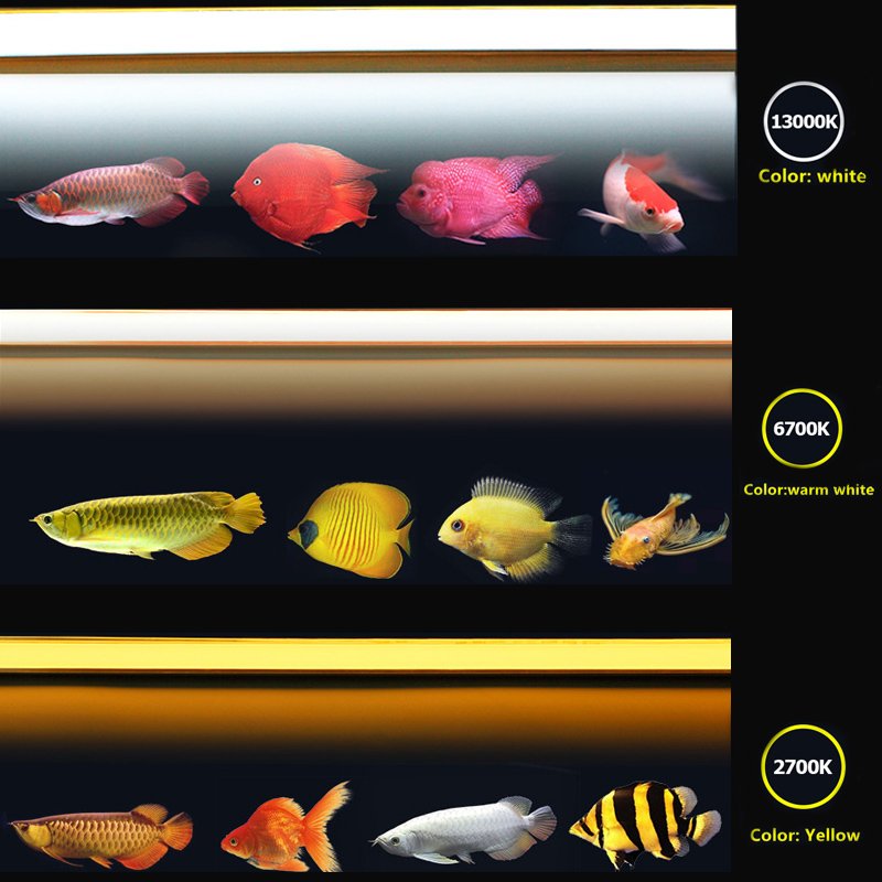 Zaohetian high quality Tanning Lights For Arowana T5 yellow light yellow / warm white / cool white light