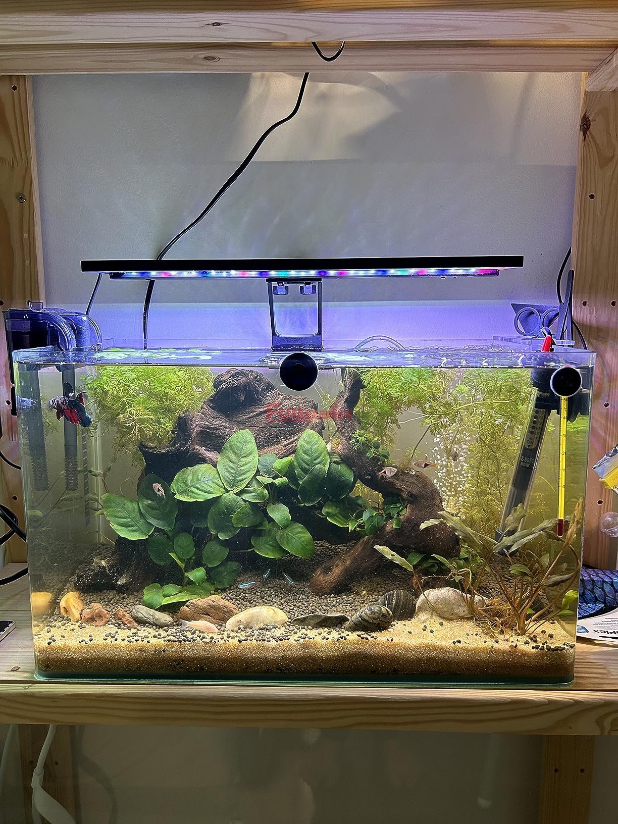 Fullgain FG163 Clip On Full Spectrum WRGB Aquarium LED Light Day Night Sanrise Dual Timer Fish Tank Light for Planted Tank