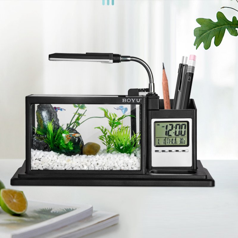 BOYU Betta Aquarium Desktop Small Fish Tank with LED Light and Filter Pump Mini Fish Bowl for Office Home Room Decor BG-29