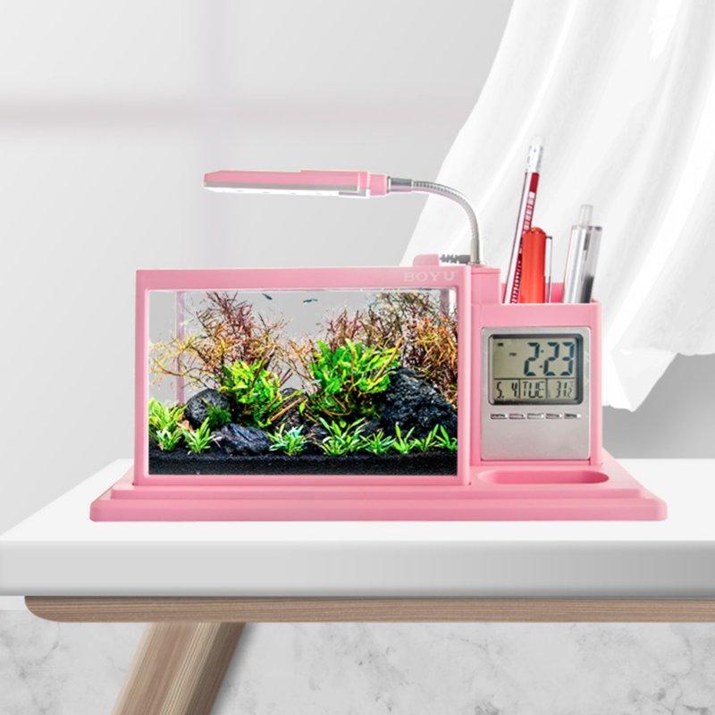 BOYU Betta Aquarium Desktop Small Fish Tank with LED Light and Filter Pump Mini Fish Bowl for Office Home Room Decor BG-29
