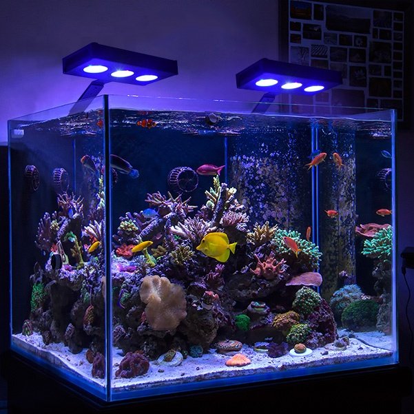 New Arrival CTLite AquaKnight SPS LPS 30W Aquarium Reef Lights Full Spectrum IP65 for Coral Reef Tank Touch Control Silent Fan