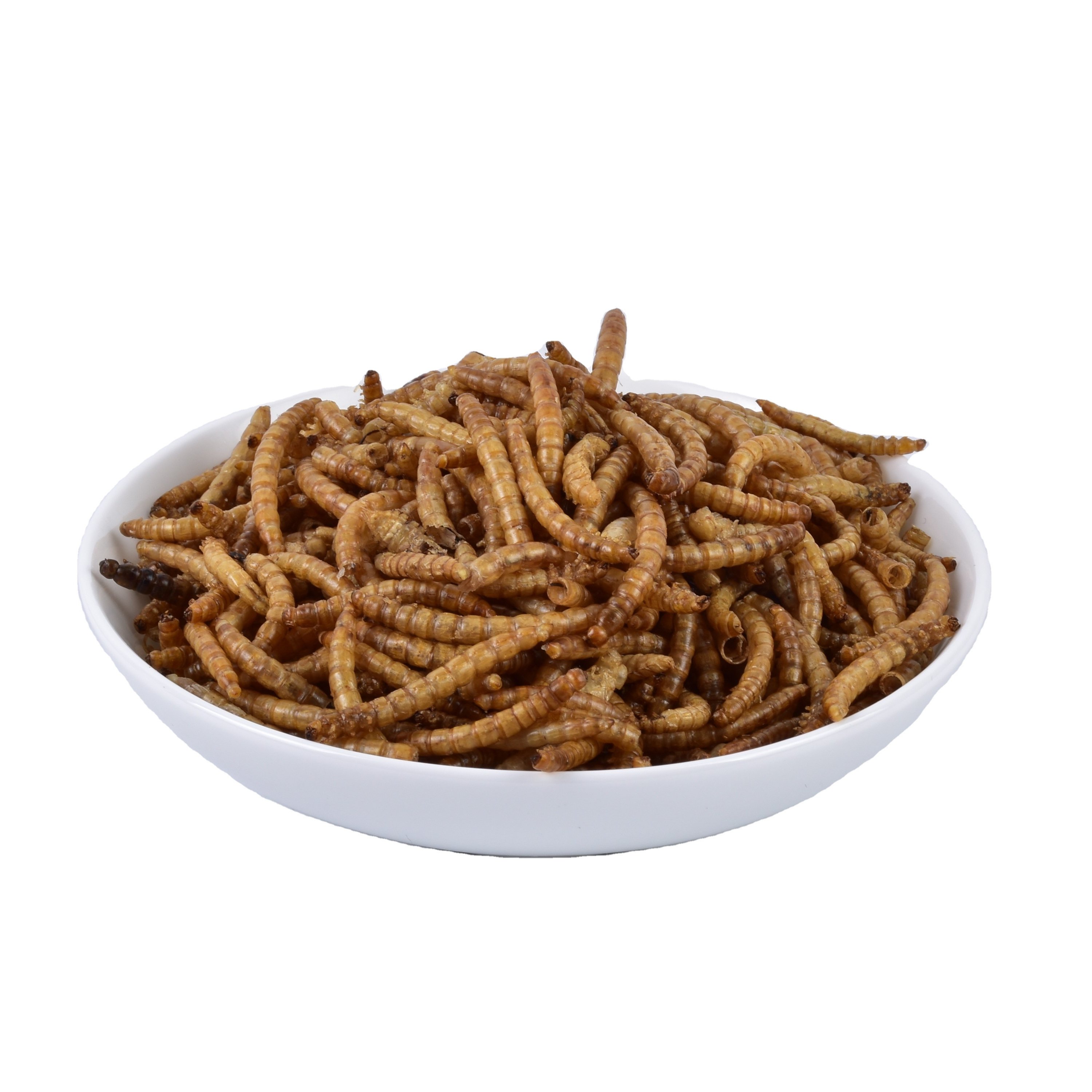 Dried mealworm as fish,birds,frogs feed additives with high-protein