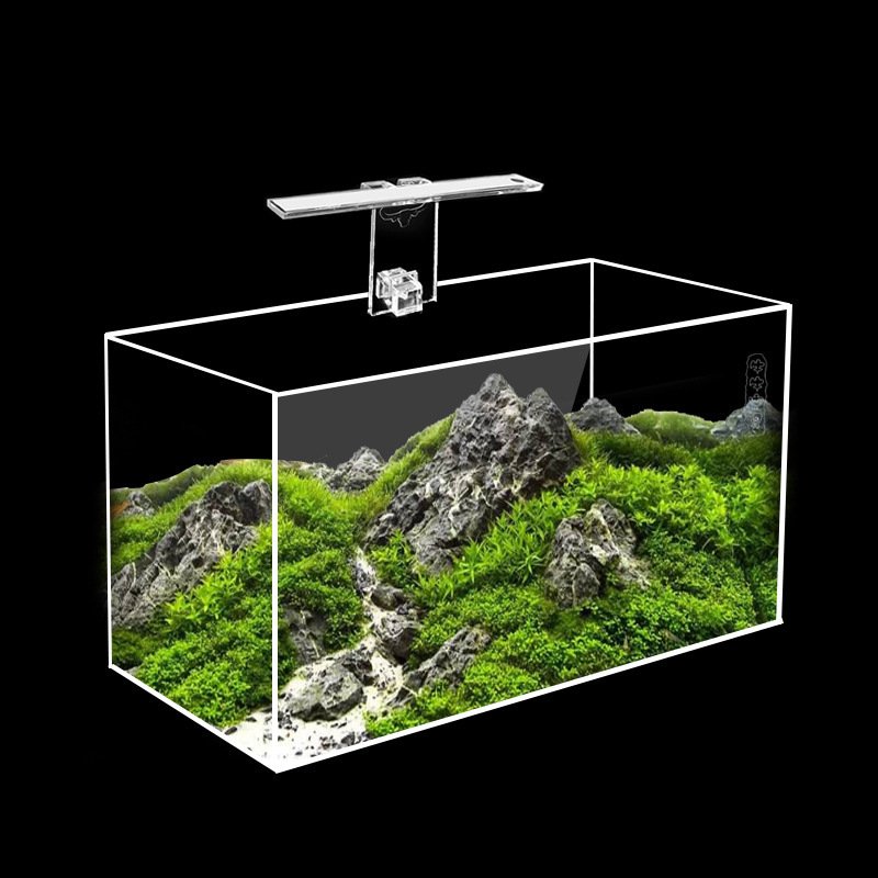 acrylic fish aquariums/fish tank with customized size