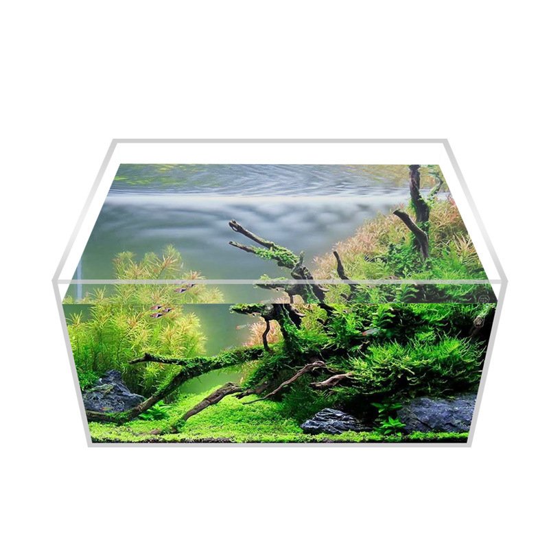 acrylic fish aquariums/fish tank with customized size