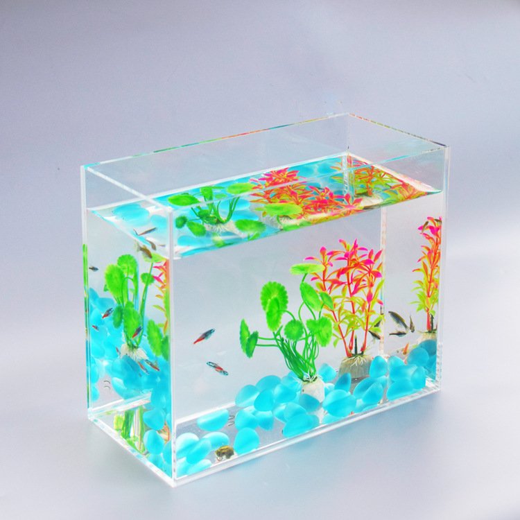 acrylic fish aquariums/fish tank with customized size