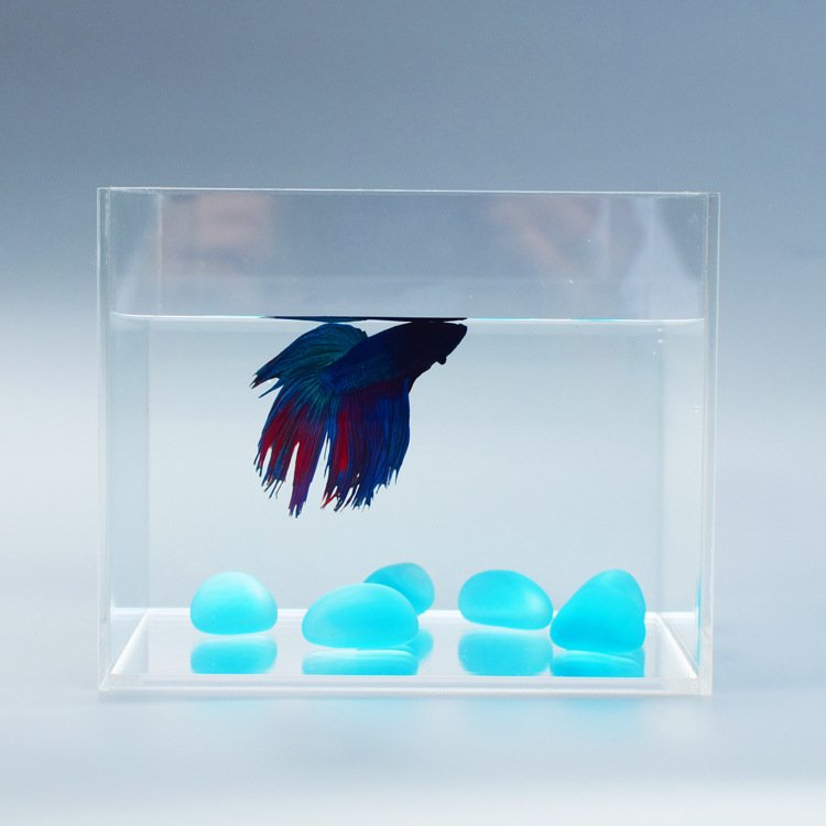 acrylic fish aquariums/fish tank with customized size