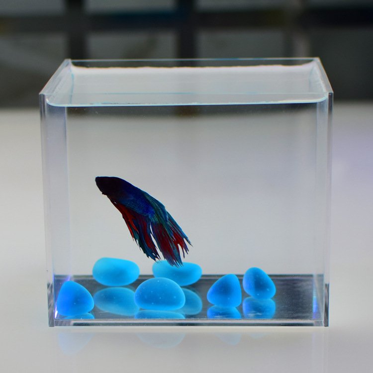 acrylic fish aquariums/fish tank with customized size
