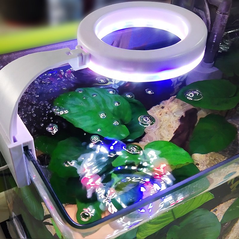aquarium lights mini usb plug 5v clip on square fish tank freshwater live plant fish grow white blue red led aquarium light