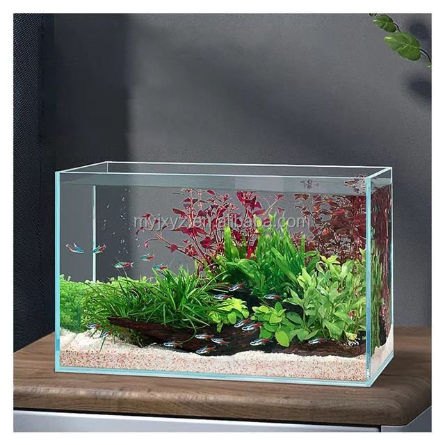 Best Selling Good Quality Acrylic Tank Wall Panels Clear Acrylic Small Fish aquarium