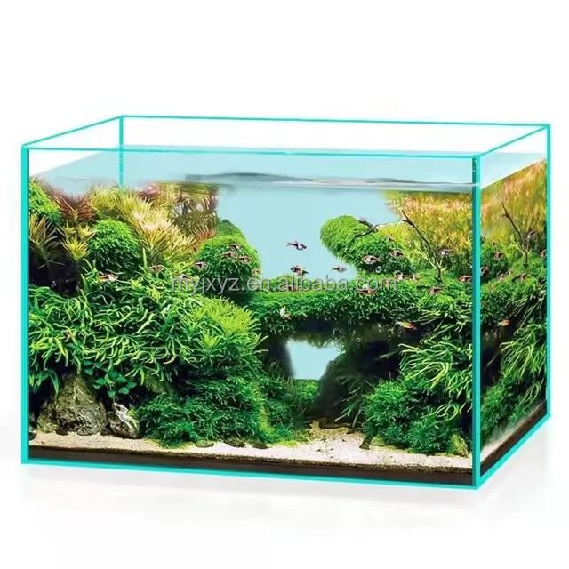 Best Selling Good Quality Acrylic Tank Wall Panels Clear Acrylic Small Fish aquarium