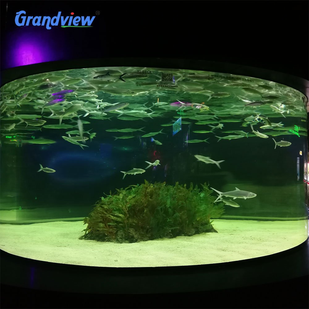 Grandview Custom Size Large Transparent Acrylic Fish Tank Laser Cut Clear Acrylic Aquarium