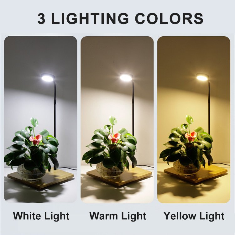 Aquatics Full Spectrum LED Light with Wooden Board USB Fits Aquarium Nano Tank Betta Fish Tank Potted Plants Miniature Landscape