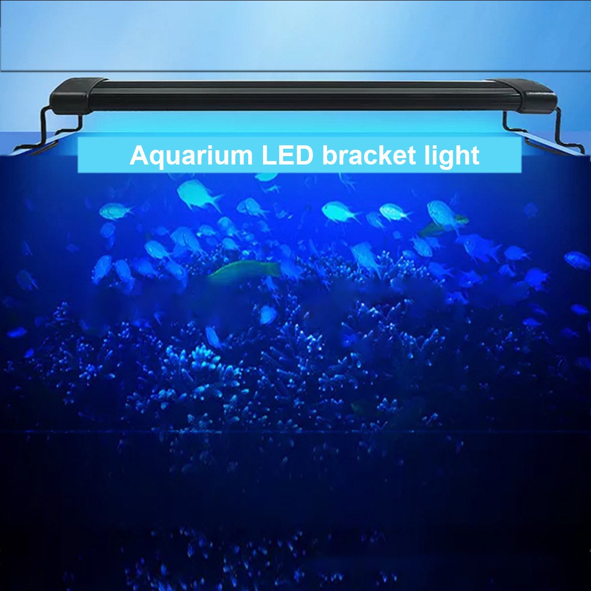 Manufacturers sell transparent luminous blue and white light fish tank bracket lamp aquarium light