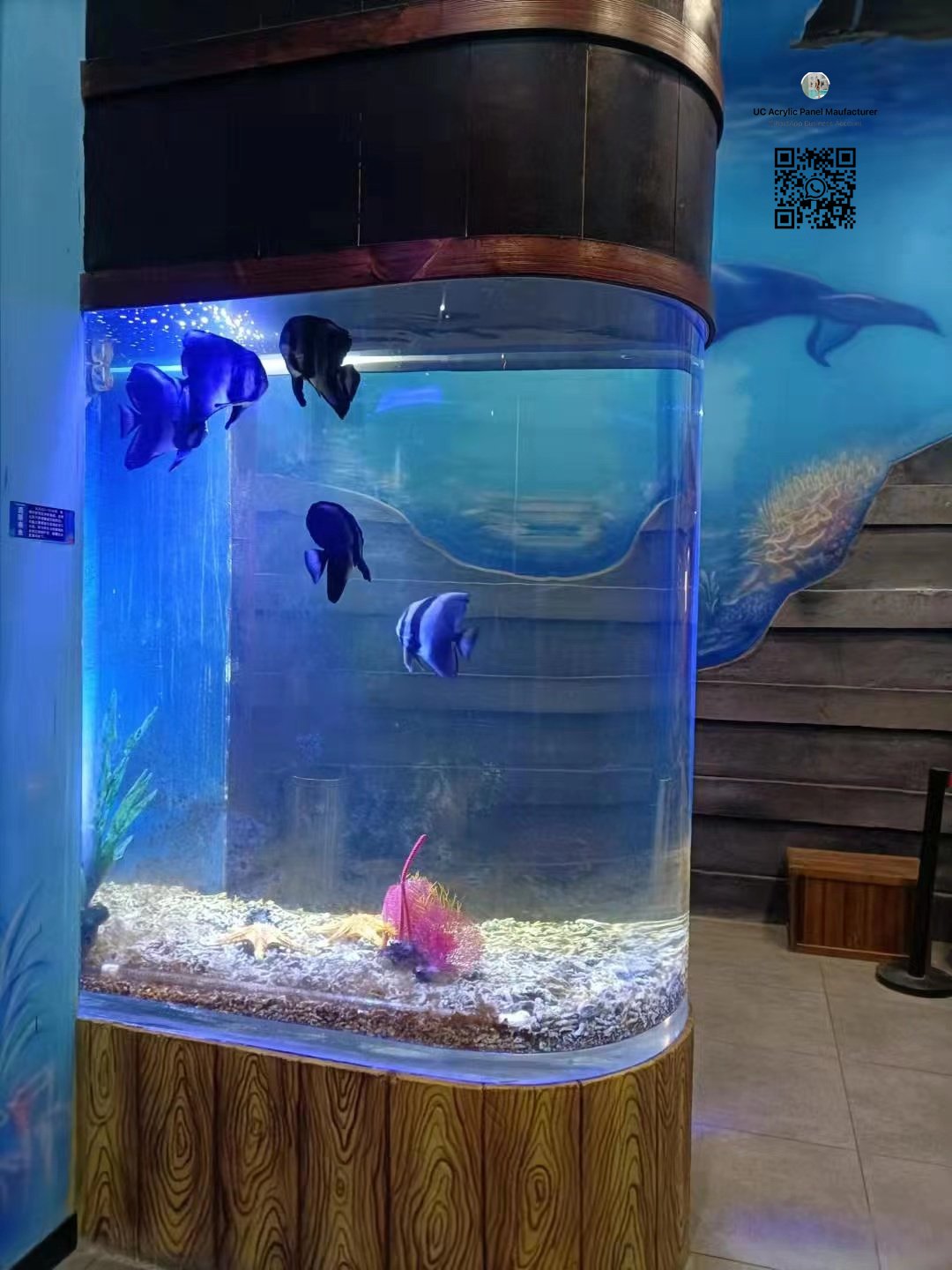 High Quality Wholesale Custom Large Acrylic Aquarium Fish Tank Cylinder Shape Made from Plastic Material