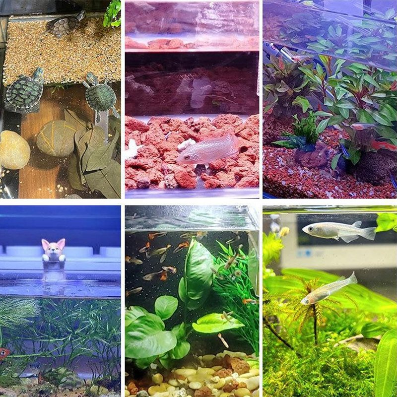 360 degree rotation aquarium light full spectrum clip on aquarium led light