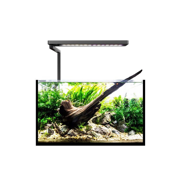 MicMol SOLO 20W LED Aquarium Light wrgb Spectrum Dimmer Control for Fish Planted Aquarium Tank