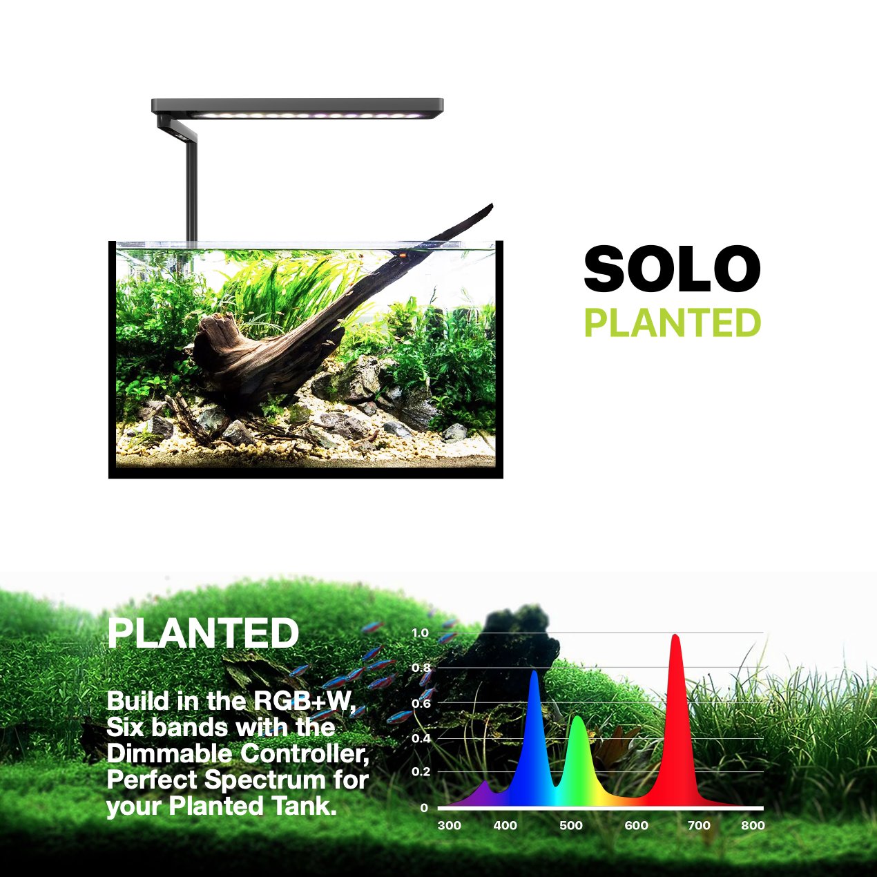 MicMol SOLO 20W LED Aquarium Light wrgb Spectrum Dimmer Control for Fish Planted Aquarium Tank