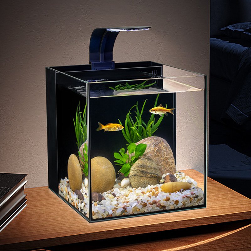 Factory Price All Types Customized Glass with LED Light and Filter Media Aquarium Glass Fish Tank