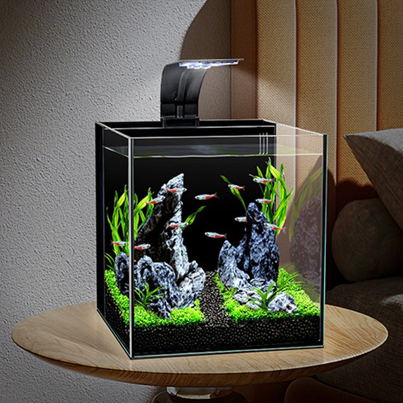 Factory Price All Types Customized Glass with LED Light and Filter Media Aquarium Glass Fish Tank