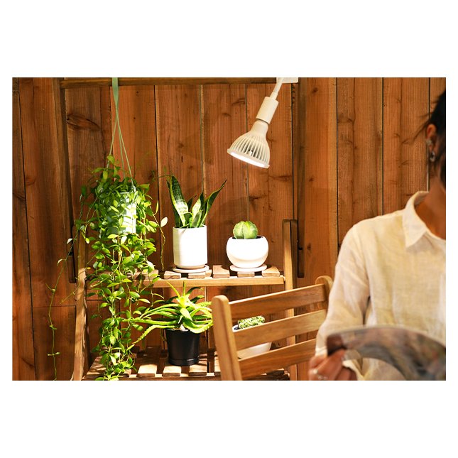 Finest Rated Greatest Quality NEO TSUKUYOMI 20W Led Grow Plant Cultivation Full Spectrum Interior Light