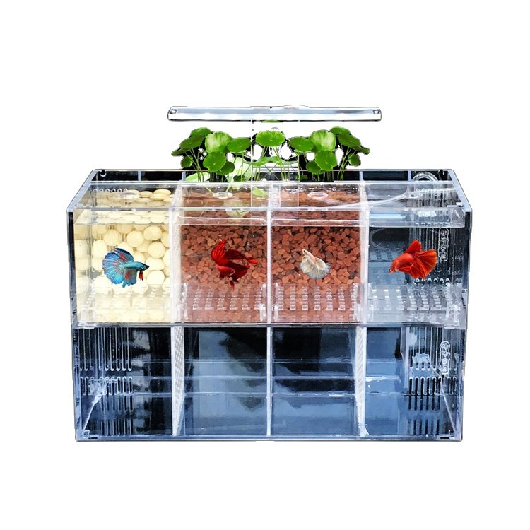 XITU Custom Size Shape Clear Fish Tank Acrylic Big Acrylic Aquarium