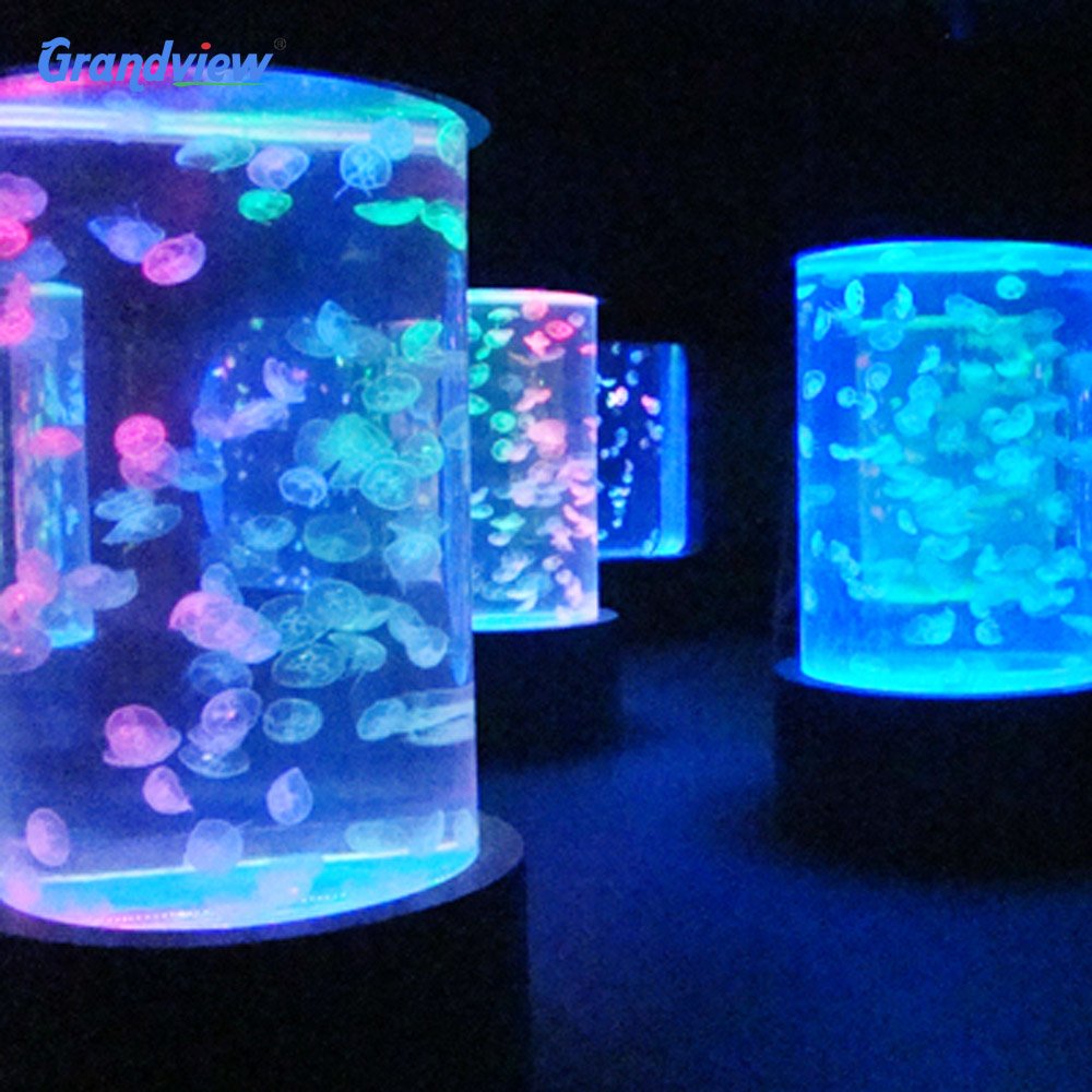 Large Cylindrical Acrylic Aquarium Ideal for Aquarium Fish Tanks and Aquatic Environments.