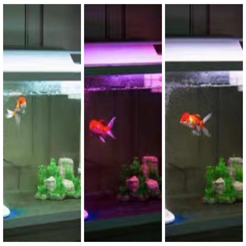 Jeneca Bright LED Aquarium Light Plant Fish Tank Light with Extendable Brackets Aquatic Plant Growth Lamp