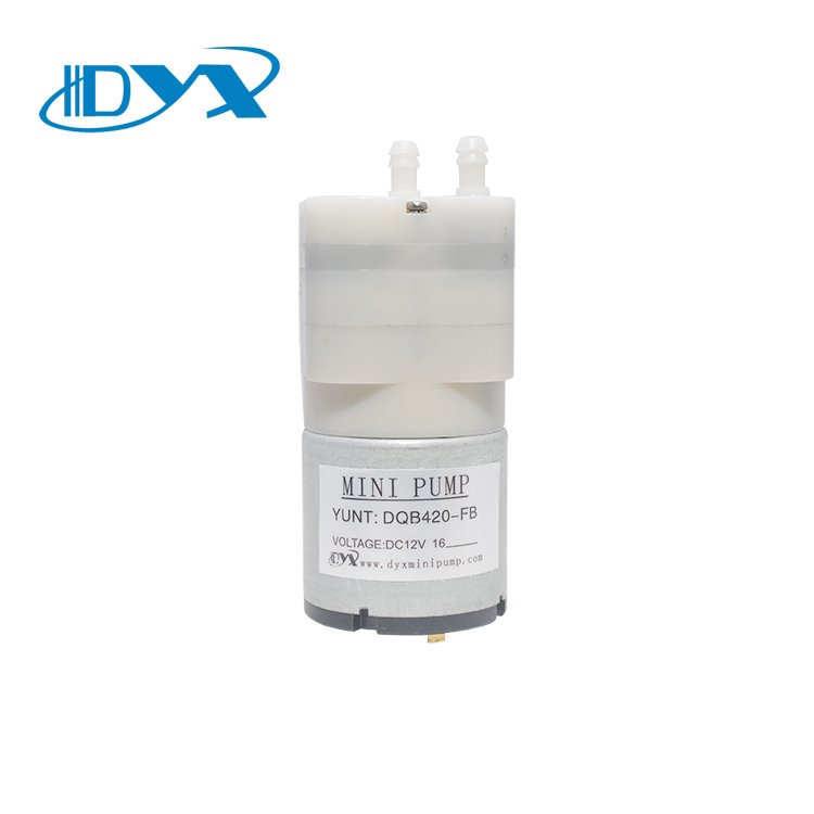 Small Electric Vacuum Pump/mini Compressor 3v/6v/12v/air Pump