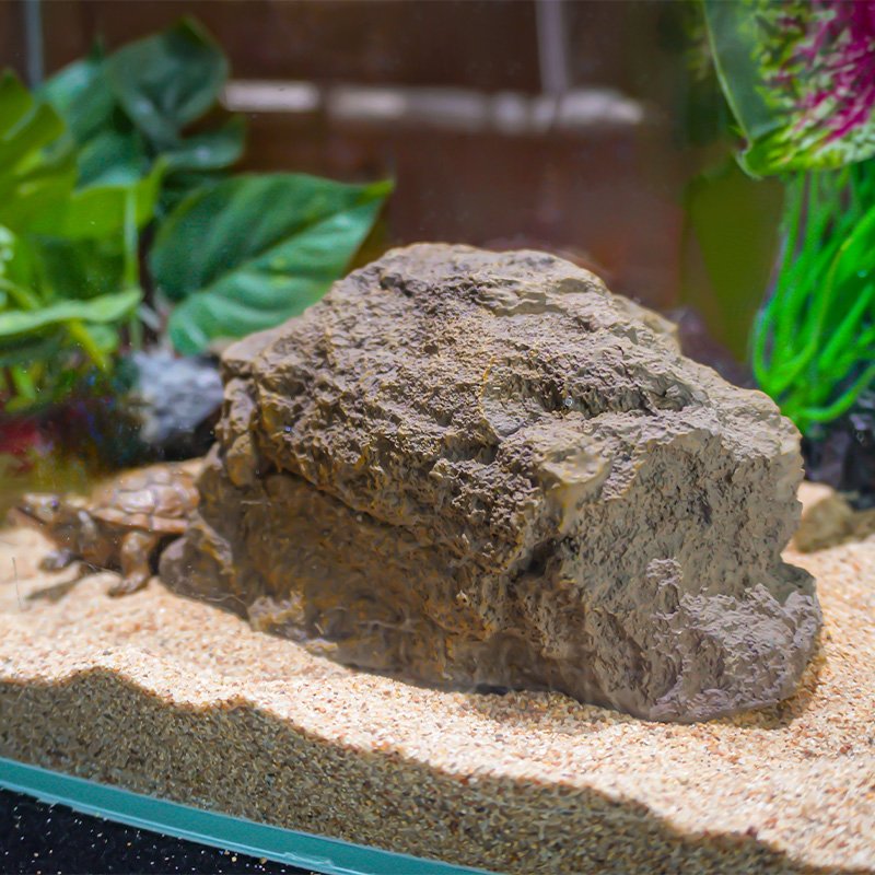 New arrival Reptile pet resting rock simulation light gray rock turtle basking platform Reptile pet Accessories Decoration