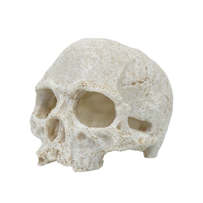 High Quality Resin Skull Reptile House Pet Escape House Hollow Landscape Decoration Aquarium Fish Tank Decoration
