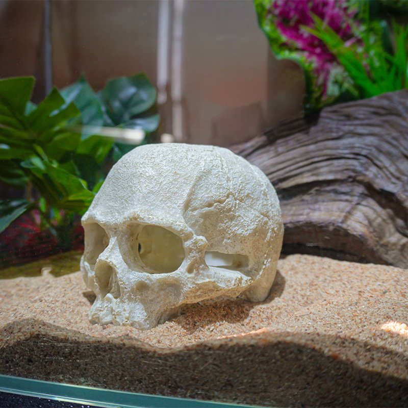 High Quality Resin Skull Reptile House Pet Escape House Hollow Landscape Decoration Aquarium Fish Tank Decoration