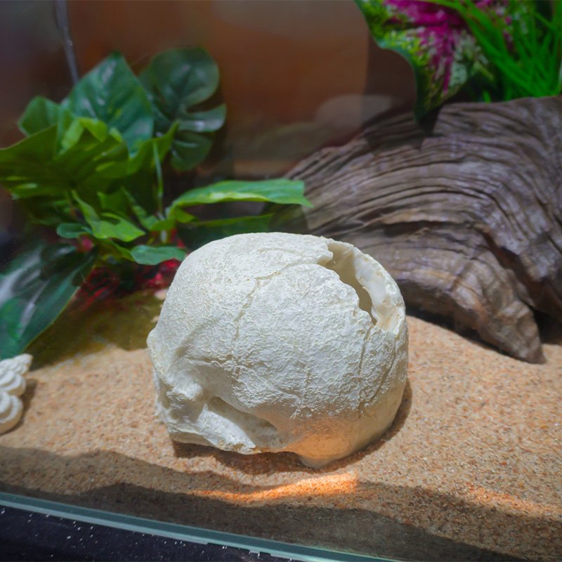High Quality Resin Skull Reptile House Pet Escape House Hollow Landscape Decoration Aquarium Fish Tank Decoration
