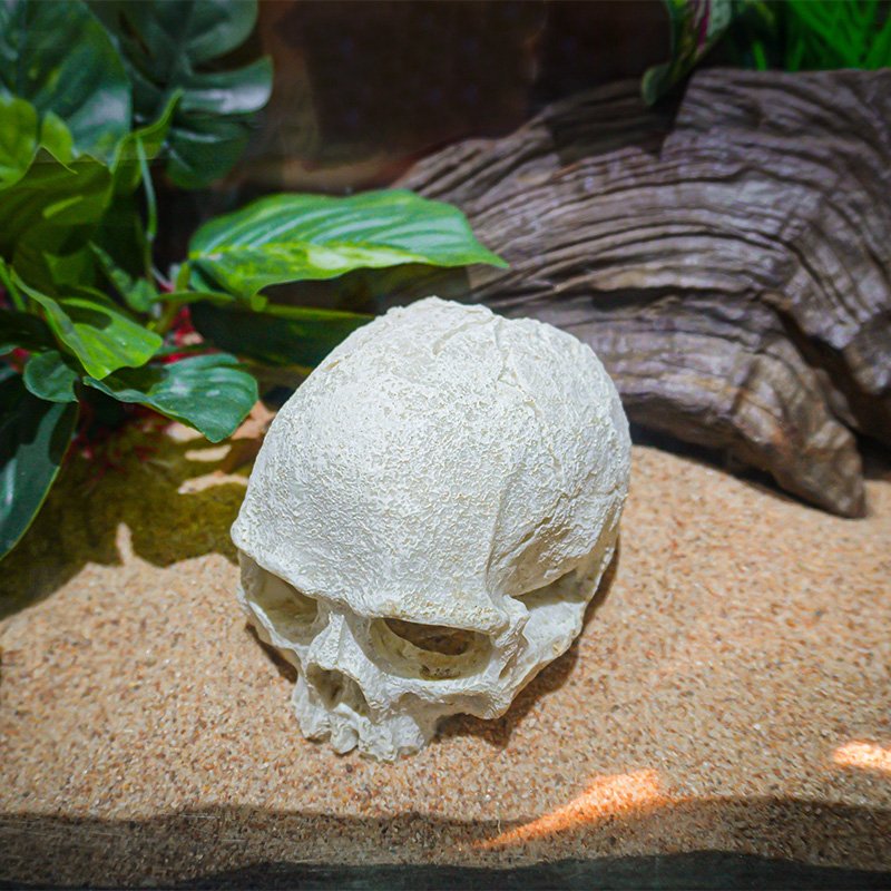 High Quality Resin Skull Reptile House Pet Escape House Hollow Landscape Decoration Aquarium Fish Tank Decoration