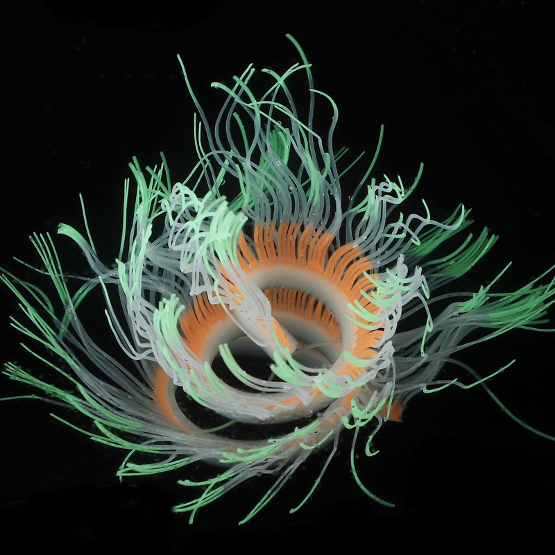 Betta fish toy is made of simulated coral in the water to simulate the environment is made of environmentally friendly silicone