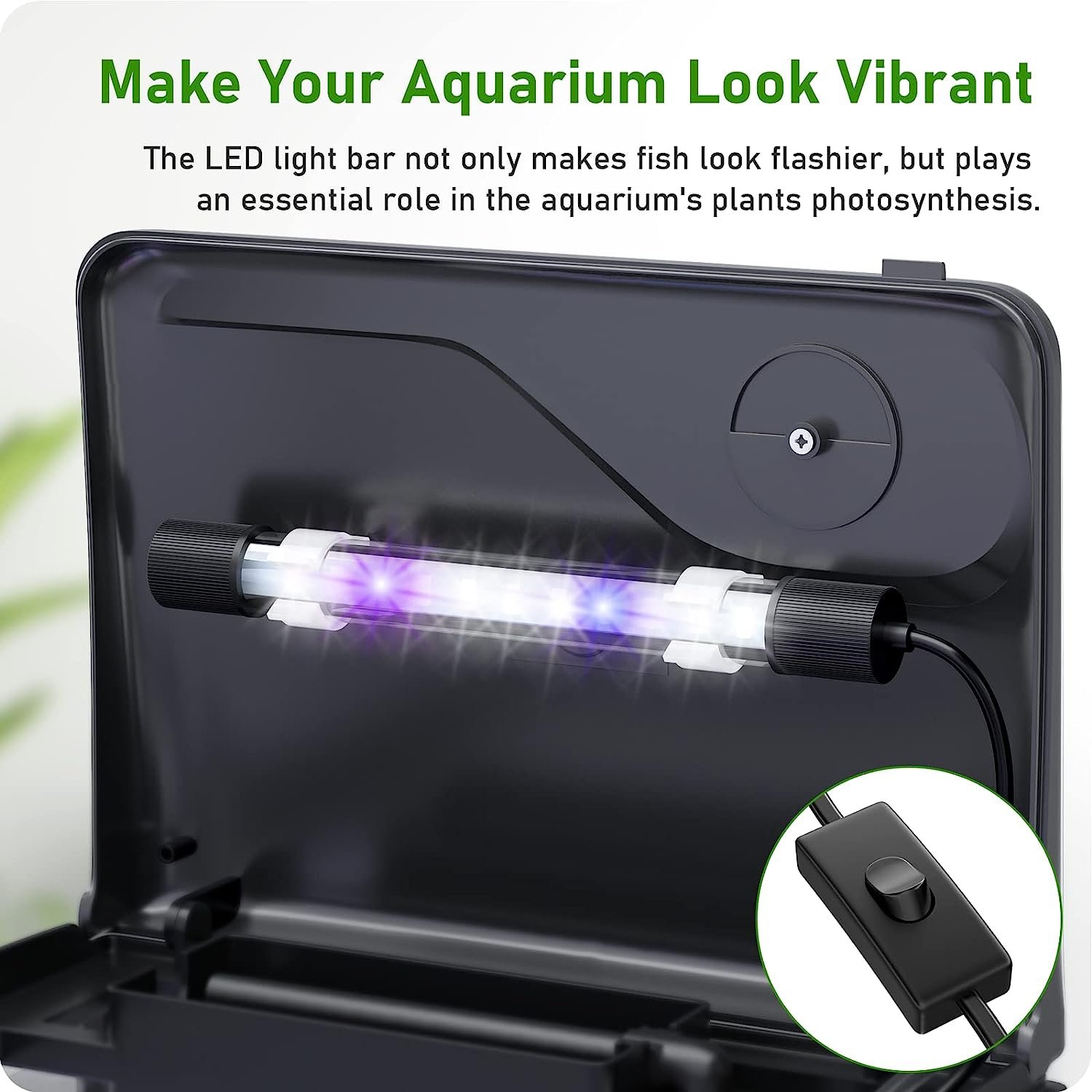 Betta Fish Tank, 2 Gallon Glass Aquarium, 3 in 1 Fish Tank with Filter and Light, Desktop Small Fish Tank