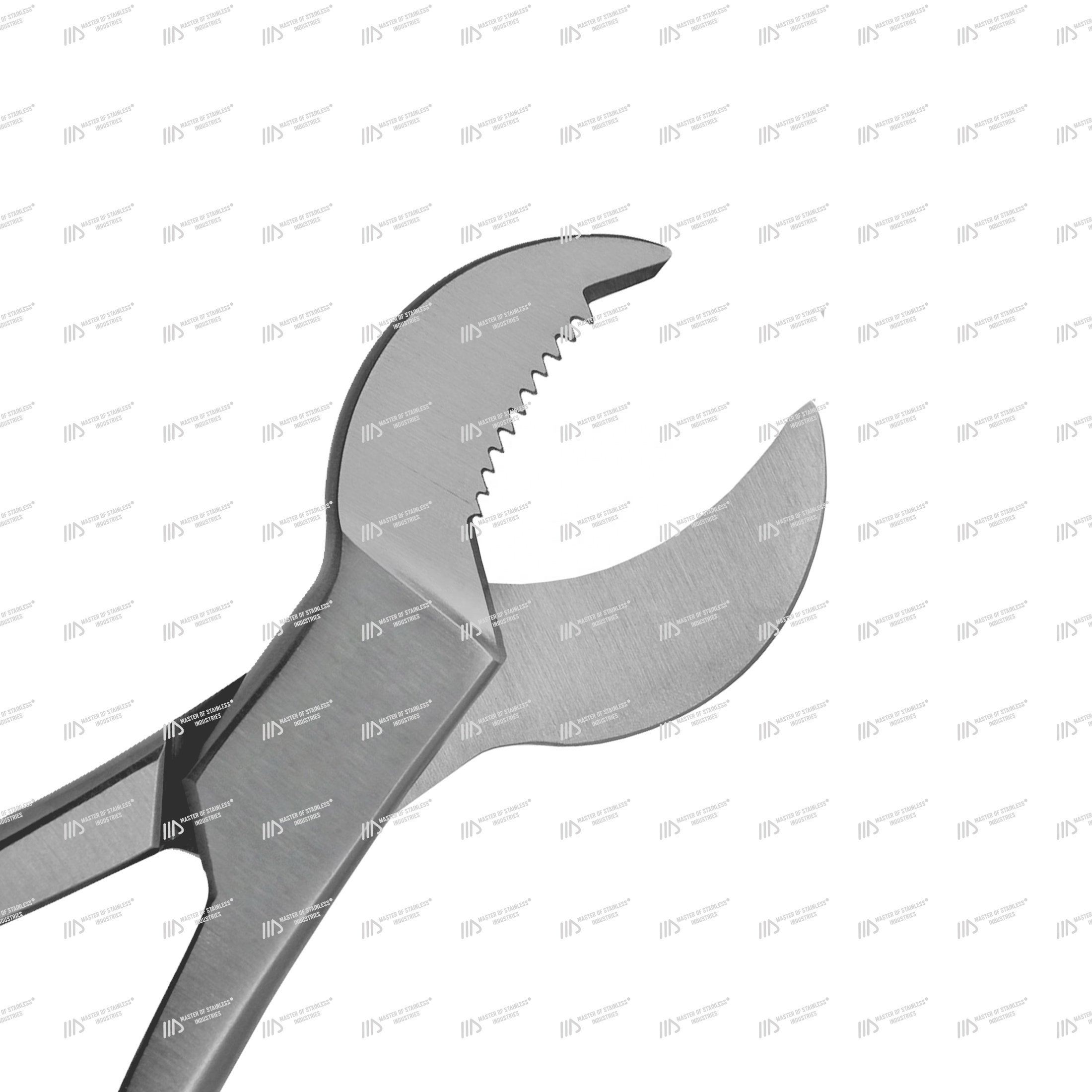 Master Best Quality Crescent Coral cutters stainless steel moon type coral frag cutters aquarium tools coral propagation tools
