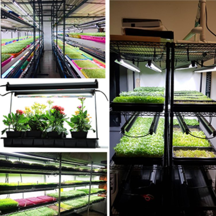 full spectrum led t5 plant vertical aquarium hydroponic standing grow light for nursery plants flower stand high umol