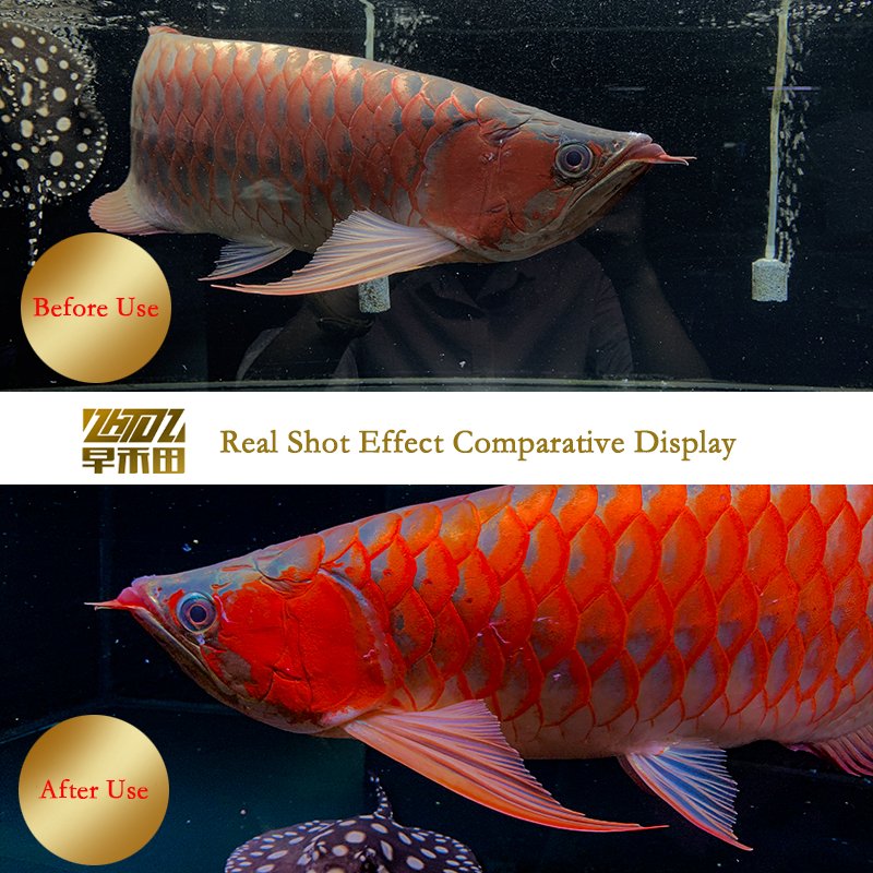 Reddish light rgb lights gold arowana aquarium LED lamp full spectrum aquarium light two rows of magic lamp fish tank led lamp