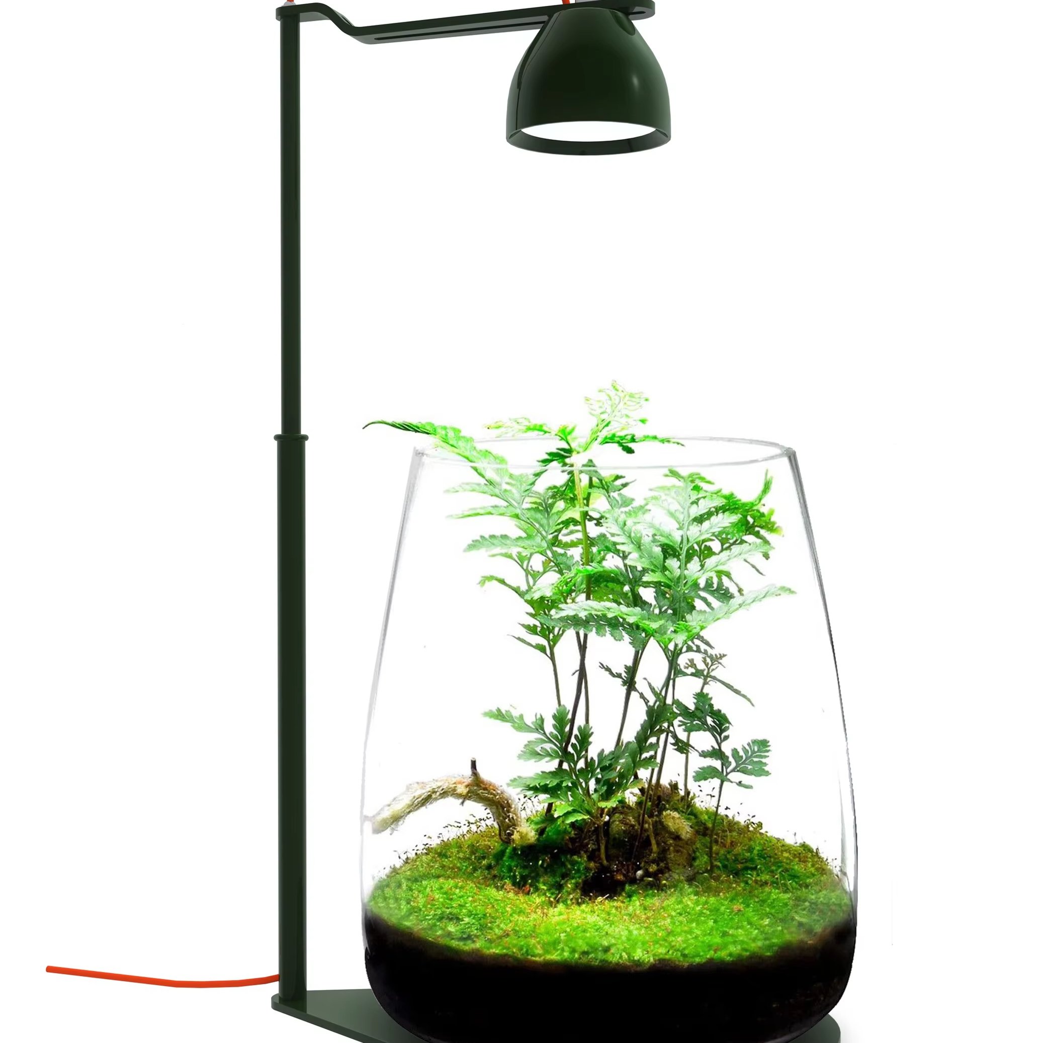 MicMol Micro-Scenery Ecological Lighting. Brand New-- DROP Desktop Micro-Scape