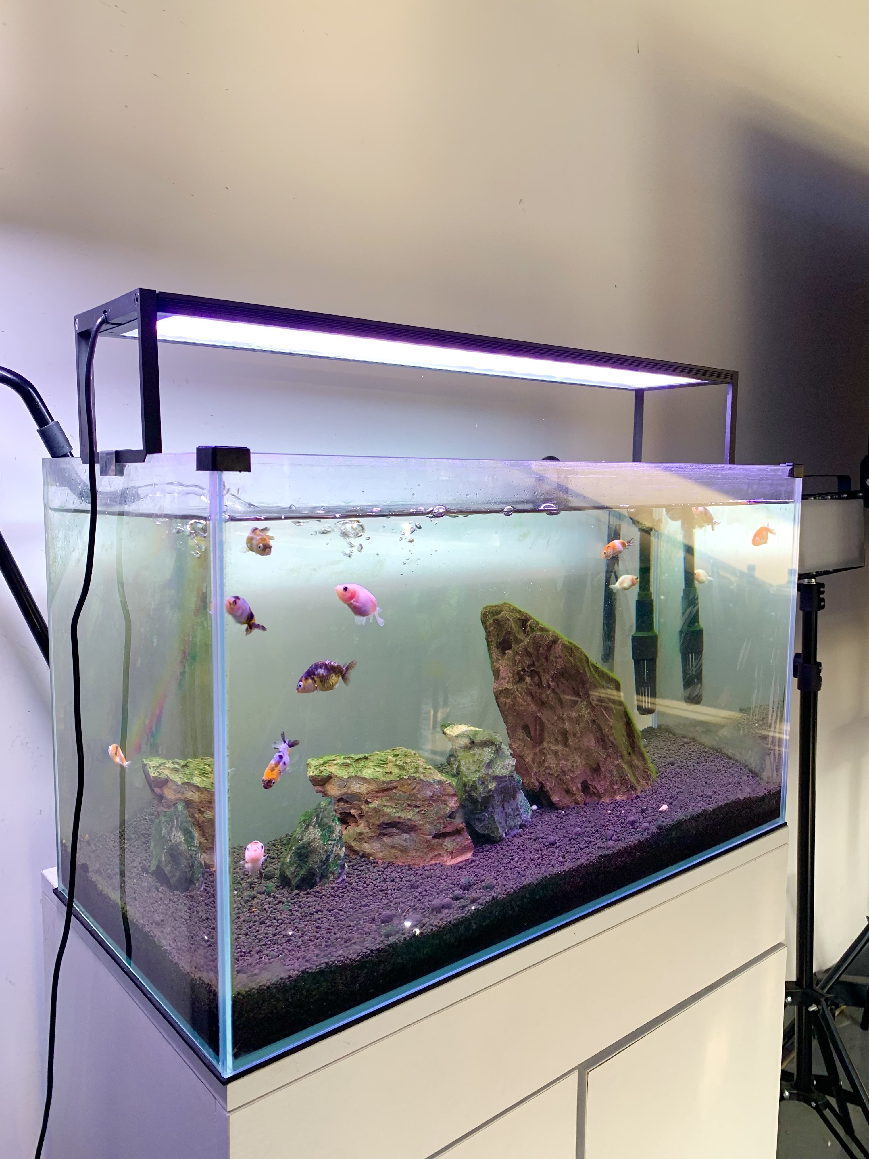 MICMOl The cheapest Extreme II 450 WRGB Soft Light Energy LED Aquarium Light for 45~60cm fish tank