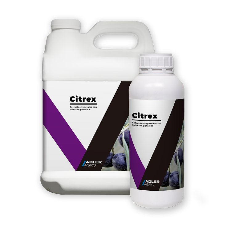 Natural Soil Foliar Fertilizer for Mango, Organic Boron Fertilizers for Orchids
