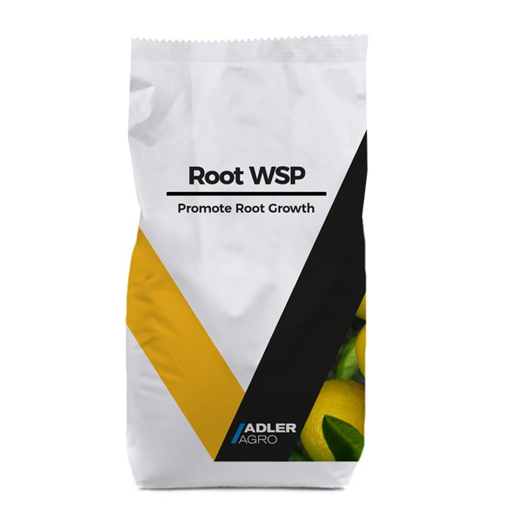 Natural Soil Foliar Fertilizer for Mango, Organic Boron Fertilizers for Orchids
